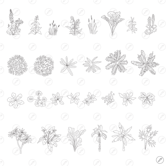 Cad & Vector - Plants